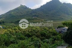 Bán đất nền mộc châu,thuộc tiểu khu 8485, tỉnh lộ 104