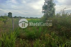 Cần bán đất đường nhánh tuyến số 1 hẻm đan trục thẳng thông ra nguyễn chí thanh hẻm ô tô 3m trà vinh