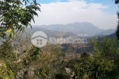 Sapa, đón sóng quy hoạch, tìm nhà đầu tư cho mảnh đất 1200m2 tại tả phìn.