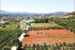 Bán đất mê linh 1,7 tỷ 10x50m 500m2 tc 200m lâm hà lâm đồng đất ven đà lạt