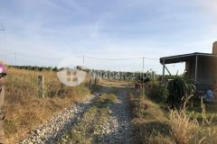 3,7 sào 1,3 tỷ 90 m mặt đường tân nghĩa, hàm tân