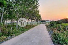 Bán lô đất làm nhà xưởng, kinh doanh sản xuất, làm nhà vườn nghỉ dưỡng