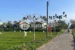 View hồ sen còn 1 lô duy nhất, đã có sổ, thông thoáng sạch đẹp, k lụt