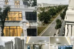 Cho thuê shophouse mặt đường 52m2 phân khu ngọc trai dự án vinhomes ocean park đã hoàn thiện