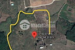 Bán đất xã diên thọ gần ql27c rộng 52.000m2 ngang hơn 200m lh 0788.558.552