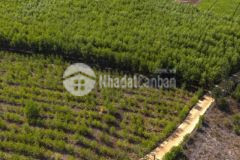 100 triệu1 sào đất shr, công chứng ngay, gần biển, gần đường lớn, gần ql1a, nông trại