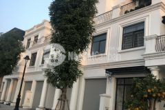 Mình chuyển nhượng căn hải âu 3 chất lượng tốt