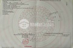 Kèo thơm đất lúa 175m2 long định, cần đước, long an