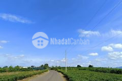 Sở hữu bất động sản tiềm năng ngay hôm nay với những ưu đãi đặc biệt