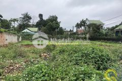 Ban nhanh măt tiên quôc lô 1a gio linh