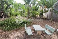 Dịch bênh khó khăn cần bán 300m2 đất thổ cư và căn nhà trọ sat chơ mp3