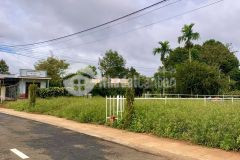 Đất trung tâm lộc an bảo lâm nhiều diện tích lựa chọn diện tích 5x20 5x36 thuận tiện giao thông,