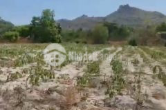 Tân tiến lagi 2,7 mẫu 4,05 tỷ chỉ 4,05 tỷ đất đẹp rẻ