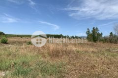 Tân tiến lagi 1,8 ha chỉ 6,3 tỷ đất đẹp