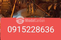 Hiếm nhà nguyễn văn cừ 2 thoáng chủ tự xây đã full nội thất ngõ ô tô.