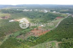 Bán đất gần bảo lộc, 5trm2 thổ cư, tặng vườn cây ăn trái đang thu hoạch