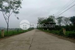 Siêu đẹp đất lương sơn, hòa bình 1011m2, giá 3,5 tỷ