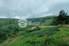 Kẹt tiền bán nhanh lô đất view siêu đỉnh ở trạm hành đà lạt