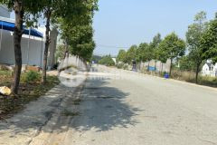 Kẹt tiền kinh doanh thua lô sang gấp lô goc 2mt 300m và 16 phòng trọ đối diện chợ, ngay kcn mp3