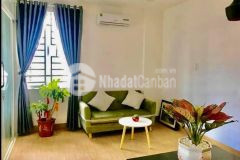 Cần bán căn nhà siêu to, siêu bự trung tâm quận sơn trà, đà nẵng.