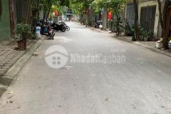 Bán đất phân lô, oto tránh khu vực z153 tt đông anh 55m, lô góc 2 mặt thoáng.