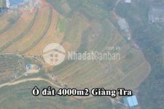 Đón đầu du lịch tả phìn, sapa một siêu phẩm 4000m2 được giới thiệu đến nhà đầu tư