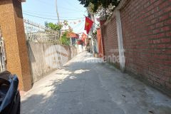 Bán đất tặng nhà trung tâm đồ sơn,hải phòng