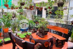 Cực hót nhà khương trung, thanh xuân, lô góc 66m, 3 tầng, giá chỉ 5.5 tỷ.