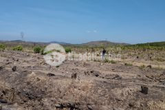 68 mẫu rsx 500 triệumẫu tân lập, hàm thuận nam