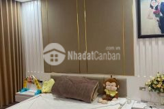 Biệt thự mini cách phố lê thanh nghị 10m, mt rộng, 80m giá 10.5 tỷ.