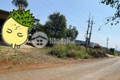 Bán 1375m2 đất tp gia nghĩa đăk nông, sổ đỏ riêng, 2 tỷ, lh0933042791.