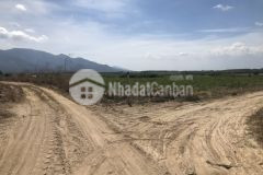 4,4 sào 1,7 tỷ 160 m mặt đường view hồ tân phúc, hàm tân