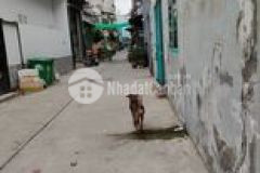 Hxh đương chiên lươc60m2, ngang 5.2 hiêm3.9 ty.