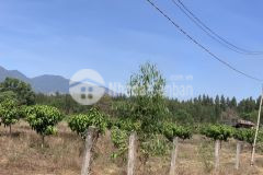 Đất tân xuân 1 mẫu 3,5 tỷ 200m đường hàm tân