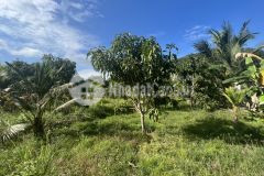 Cần bán lô đất vườn diên tân, gần hl62.