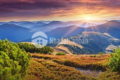 Đất 2 mặt cách mạng tháng 8 và hoàng văn thái cần bán