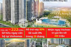 Chỉ với hơn 200 triệu sở hữu ngay khu căn hộ cao cấp vinhomes ocean park