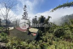 Lô đất hơn 500m2 tại tả phìn, sapa view săn mây xuất sắc