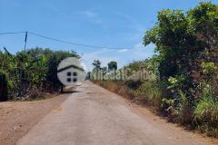 D107 bán đất sào hẻm cấp 1 xã hòa phú gần quốc lộ 14