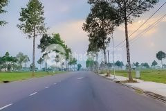 Đất nền stella mega city, giá đầu tư.