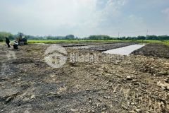 Cần bán nhanh miếng đất vườn 1000m2 củ chi quy hoạch đất ở