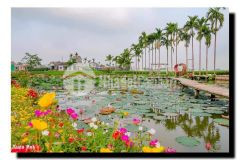 Chỉ từ 350 triệu sở hữu 169 m2 đất nghỉ dưỡng đối diện hồ sen điện tiến