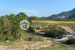 Cần bán lô đất chn xã diên lộc giá mềm