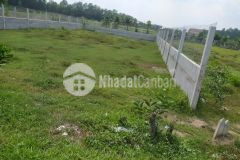 Tìm chủ cho nền đất 500m2 khu vực h củ chi, gần trung tâm sát hạch lái xe