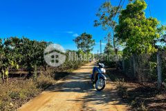 Cần bán đất hẻm 104 trần văn ơn