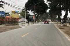 Đất đẹp đường ô tô giá rẻ khu đấu giá x5 du nội mai lâm dt 75m2. gía 55 triệu m2