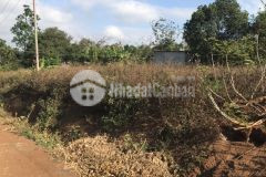 D112 bán đất hẽm cấp 1 đường chánh đông buôn tiêu xã eatieu