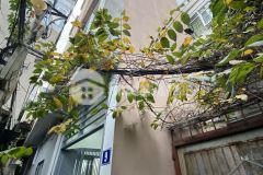 Bán nhà thuỵ khuê 3036t2 x 4 tầng, mặt tiền khủng 10m, nhỉnh 4 tỷ