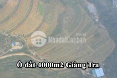 Đất nền nghỉ dưỡng sapa điểm đầu tư du lịch hót nhất trong năm.