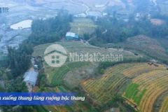 Đất nền sapa, đầu tư siêu lợi nhuận bán mảnh 630m2 tại tả phìn